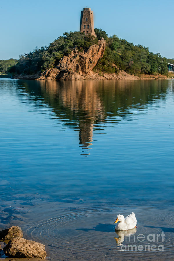 Lake Murrays White Duck Photograph by Tamyra Ayles