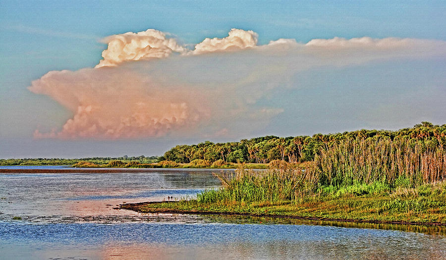 Lake Myakka Landscape Photograph by HH Photography of Florida