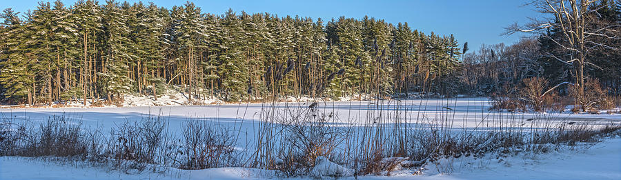 Lake Nawahunta Winter Panorama Photograph by Angelo Marcialis
