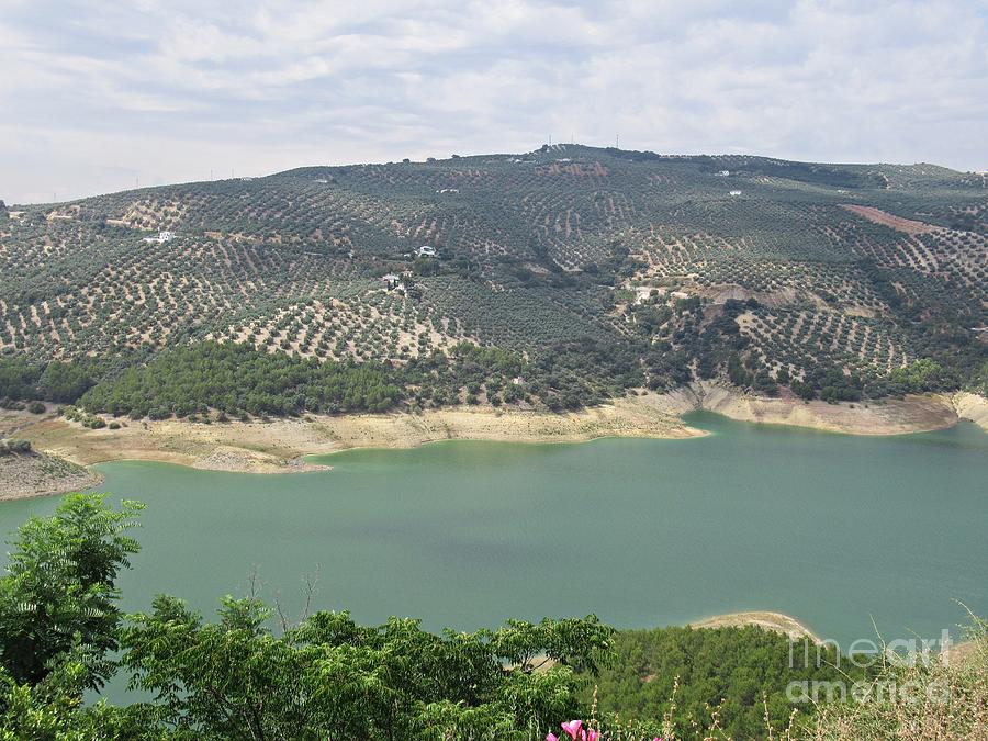 Lake near Iznajar Photograph by Chani Demuijlder