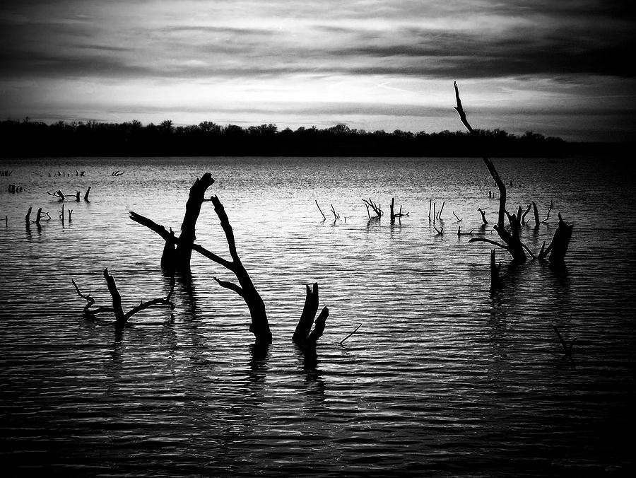 Tree Photograph - Lake Night by Karen Scovill