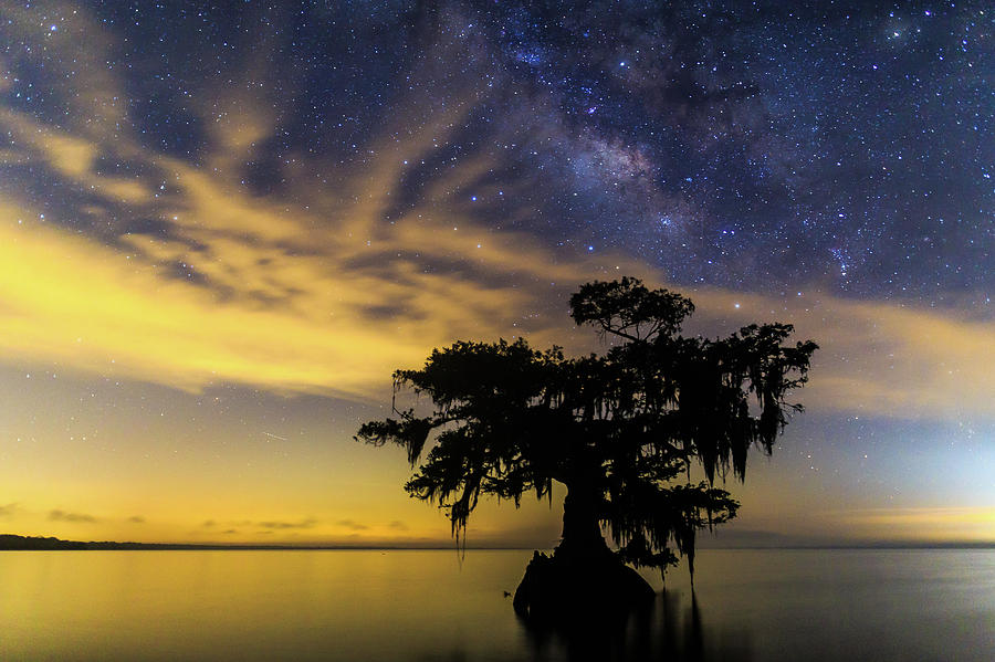Lake Night Sentinel Photograph by Stefan Mazzola