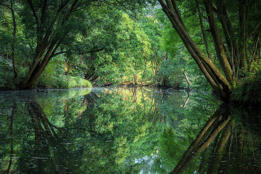 Lake of Dreams Photograph by Expressive Imagery | Fine Art America