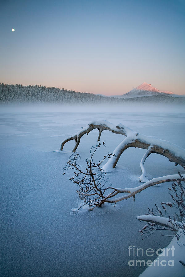 Lake Of The Woods In Winter, Or Photograph by Sean Bagshaw