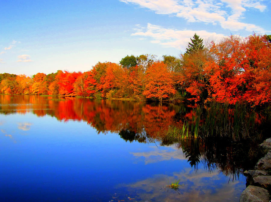 Lake of tranquility and colors Photograph by Lisa Jayne Konopka | Fine ...