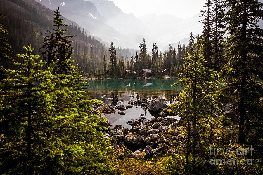 Lake OHara Dreaming Photograph by Carrie Cole