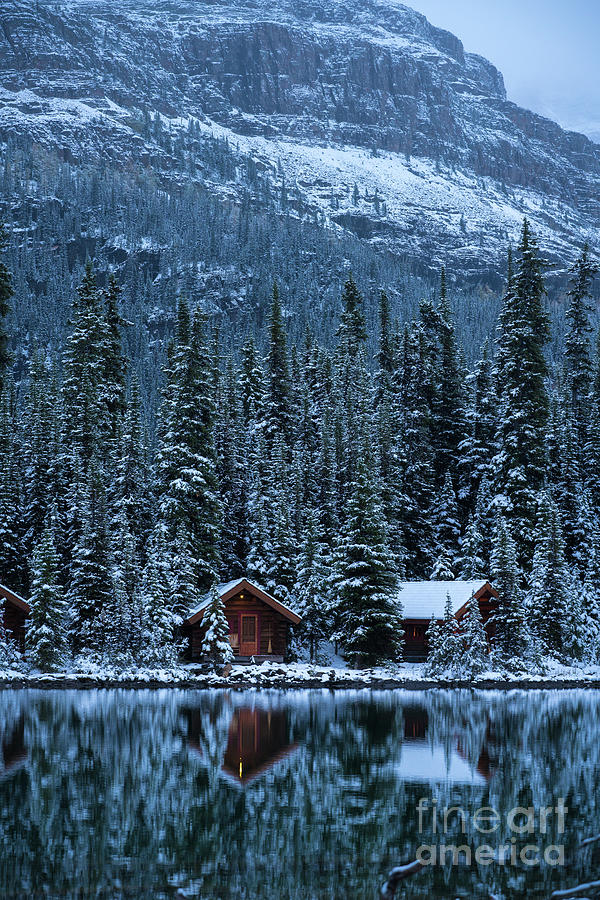 Lake OHara Winter Cottages Reflected Photograph by Mike Reid