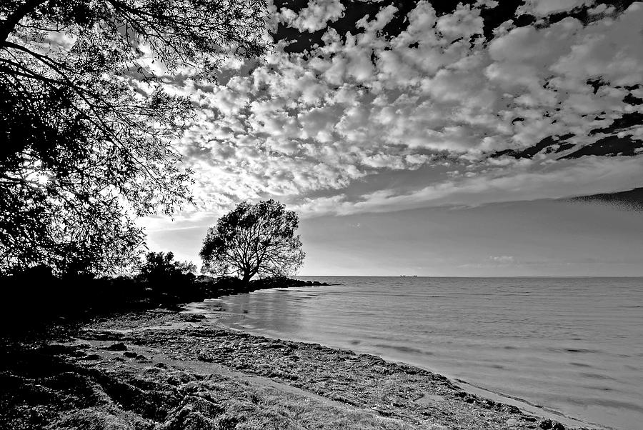 Lake Ontario. New York  Photograph by Bill Jonscher