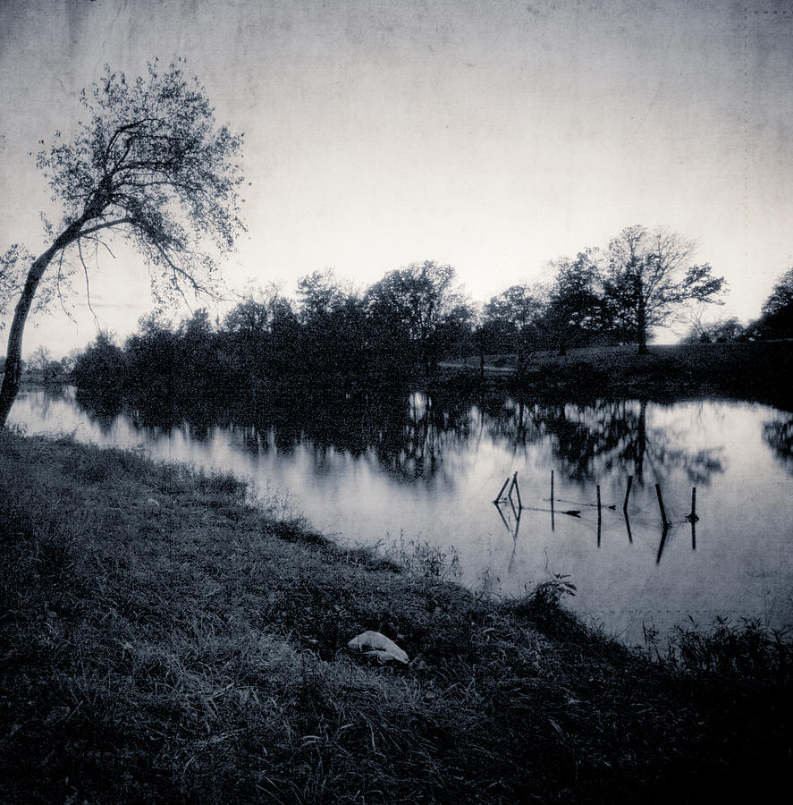 Tree Photograph - Lake Paradise by Dylan Murphy