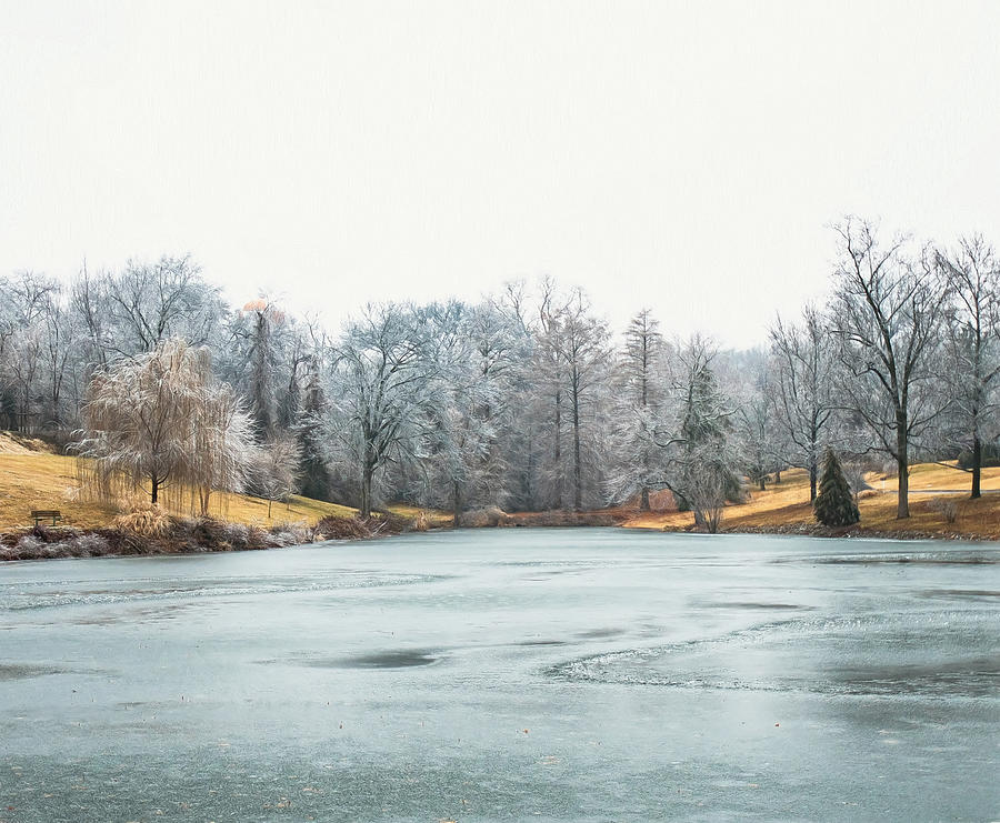Winter Photograph - Lake Pembroke by Kathy Duncan