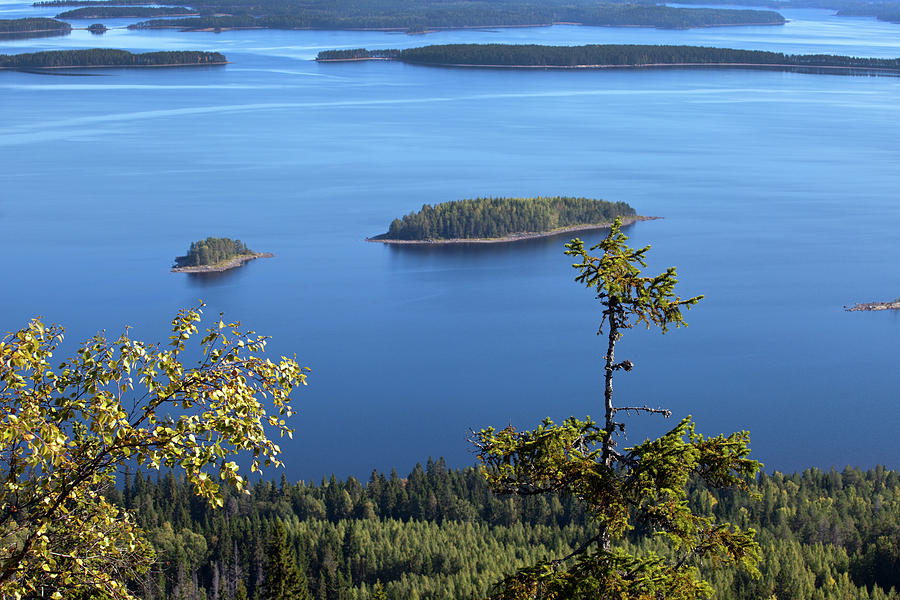 Lake Pielinen Photograph