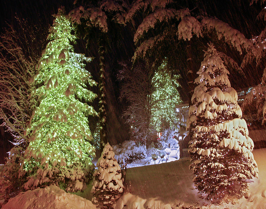 Lake Placid Christmas Lights Photograph by Michael Fusco Fine Art America