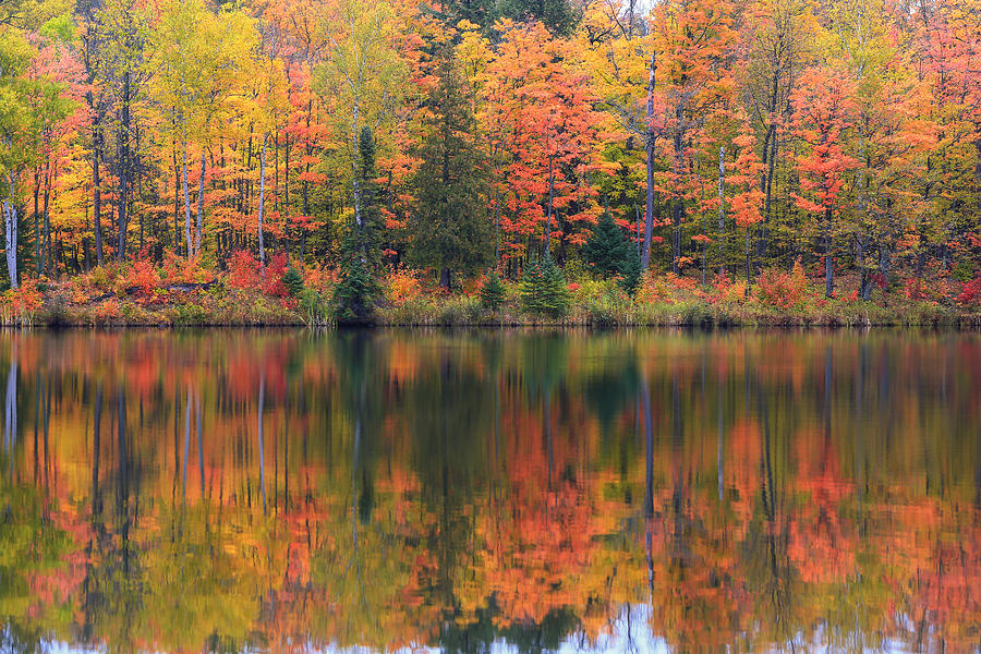 Fall Photograph - Lake Plumbago Autumn by Rachel Cohen