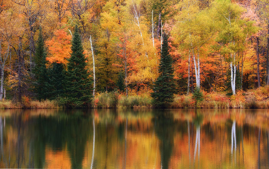 Fall Photograph - Lake Plumbago Reflections by Rachel Cohen