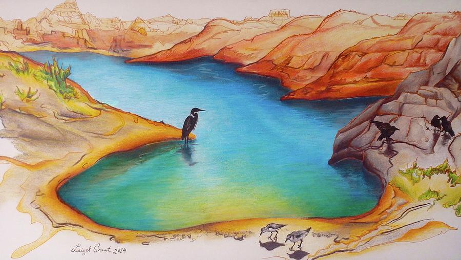Lake Powell birds Drawing by Leizel Grant