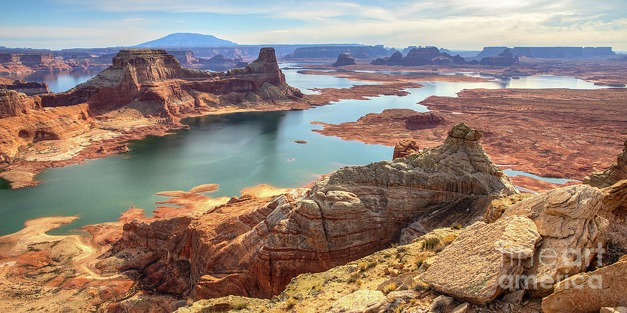 Lake Powell From Alstrom Point Photograph by Spencer Baugh