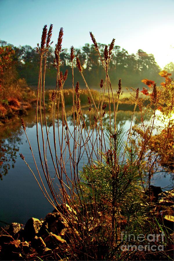 Lake Powell Williamsburg Virginia Photograph by Karen Jorstad