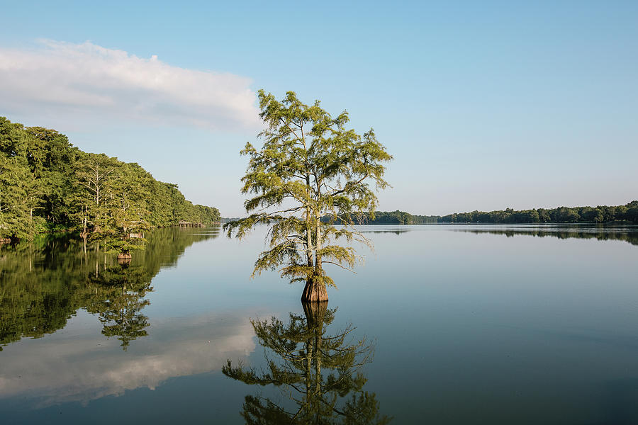 Lake Providence Louisiana Photograph by Scott Pellegrin