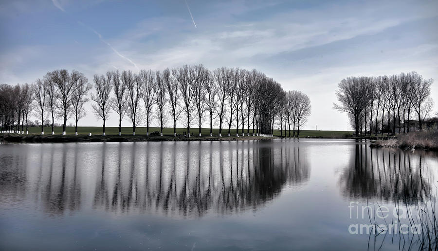 Lake reflection Photograph by Daliana Pacuraru