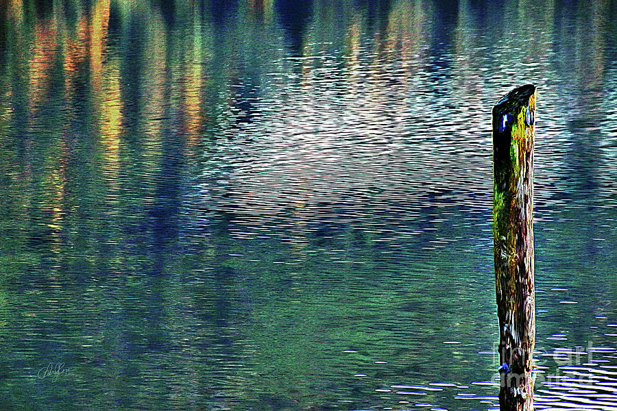 Lake Reflections Photograph by Cheryl Rose