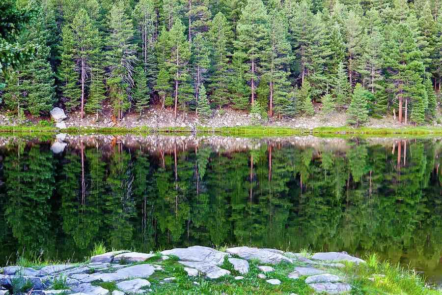 Ponderosa Reflection Photograph by William T Templeton