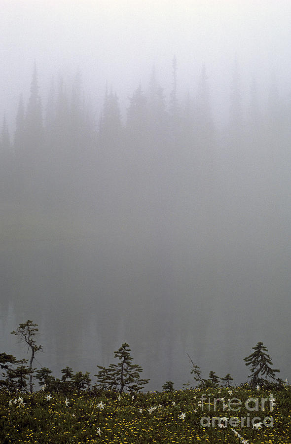 Mount Rainier National Park Photograph - Lake Reflections by Jim Corwin