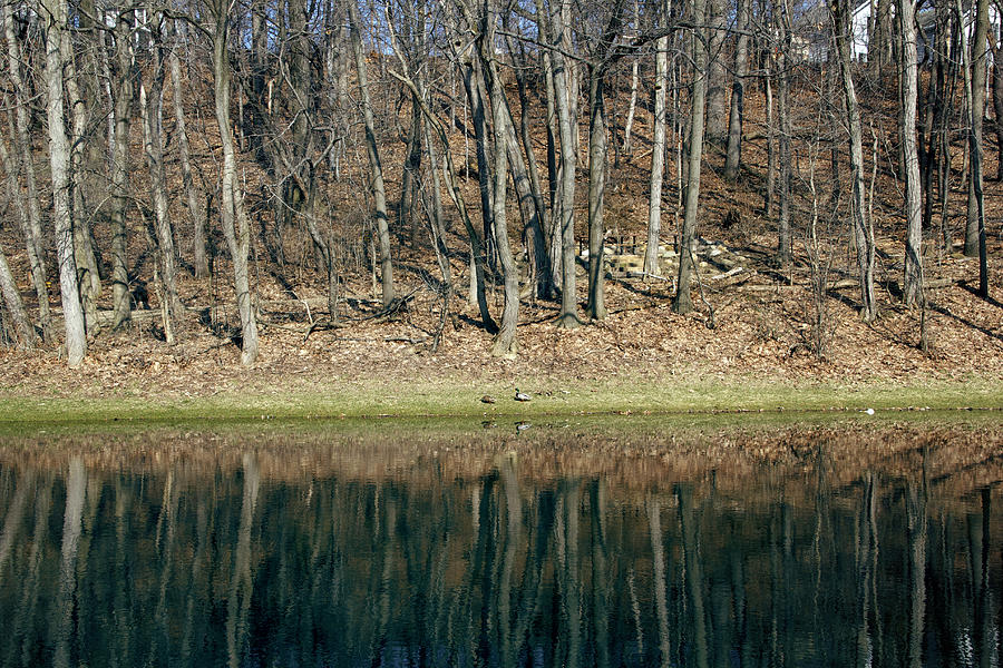 Lake Reflections Pyrography by Yelena Rubin