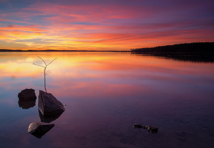 Lake Russell 4 Photograph by Derek Thornton