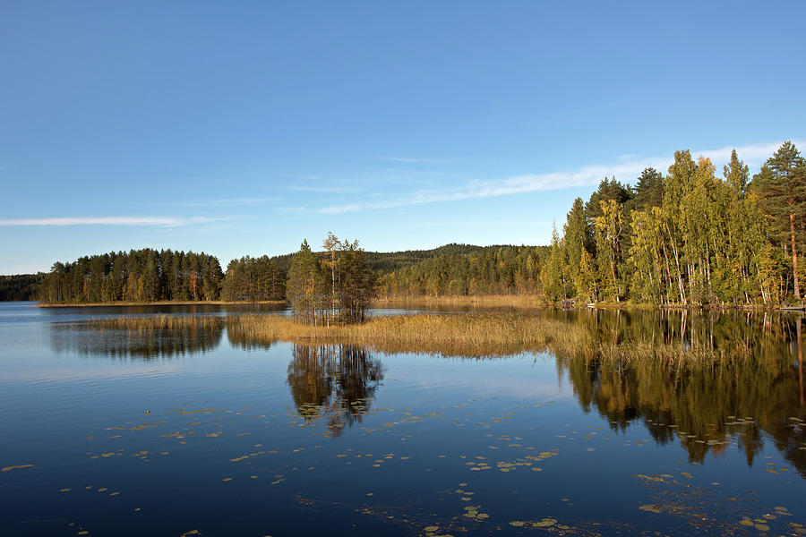 Lake Savi Photograph by Aivar Mikko