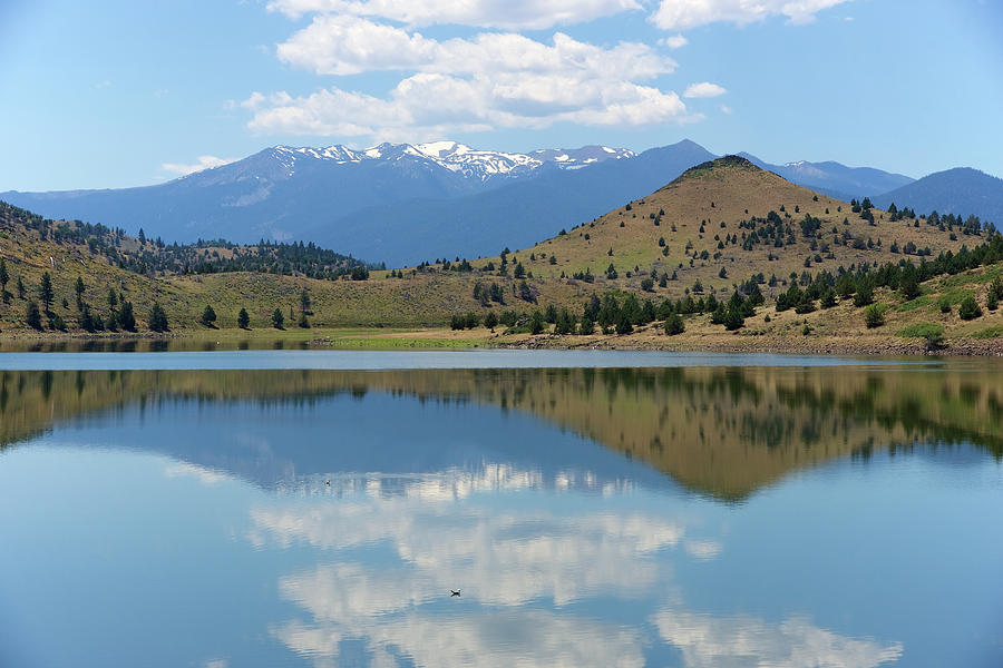 Lake Shasta Photograph by Richard J Cassato