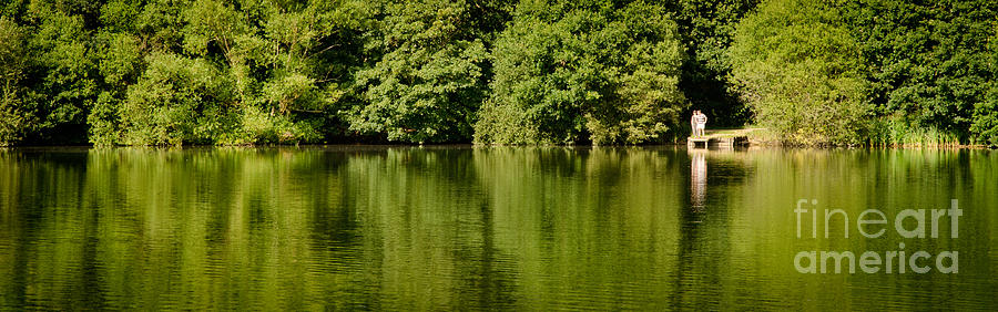Tree Photograph - LAKE SHORE dinton pastures lakes and nature reserve reading berkshire uk by Andy Smy