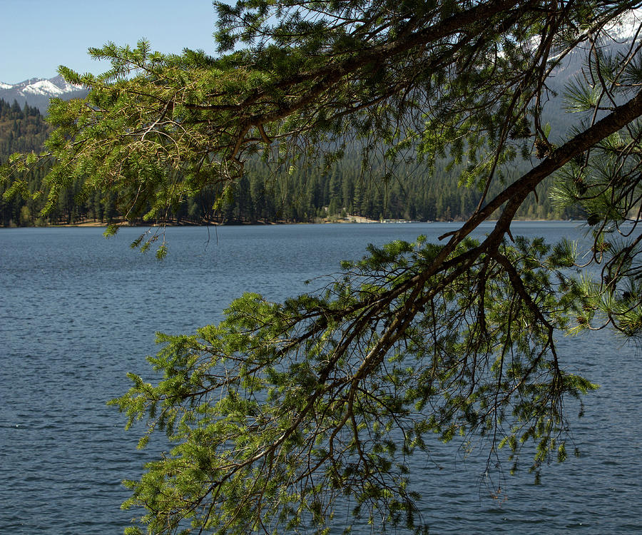 Lake Siskiyou Photograph by Elaine Webster