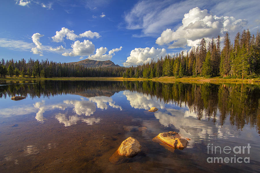 Lilly Lake Photograph by Spencer Baugh
