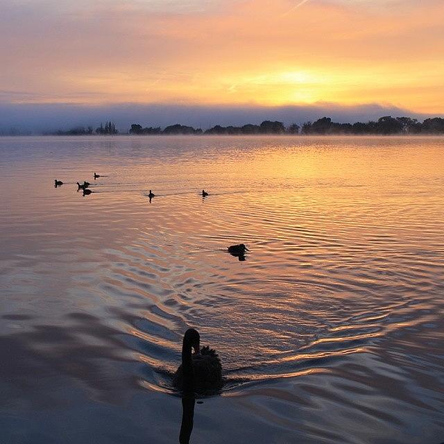 Lake Sunrise Photograph by Anthony Croke