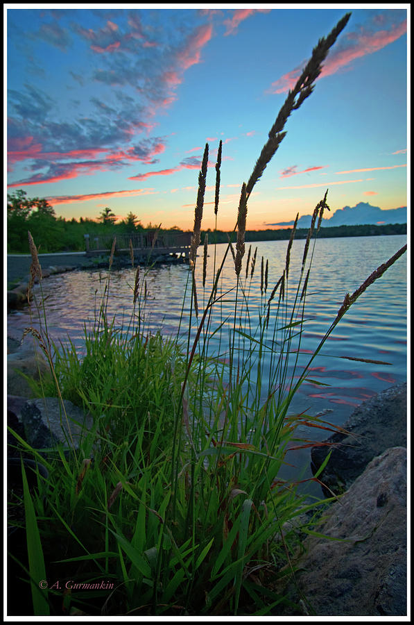 Lake Sunset and Sedge Grass Silhouettes, Pocono Mountains Photograph by A Macarthur Gurmankin