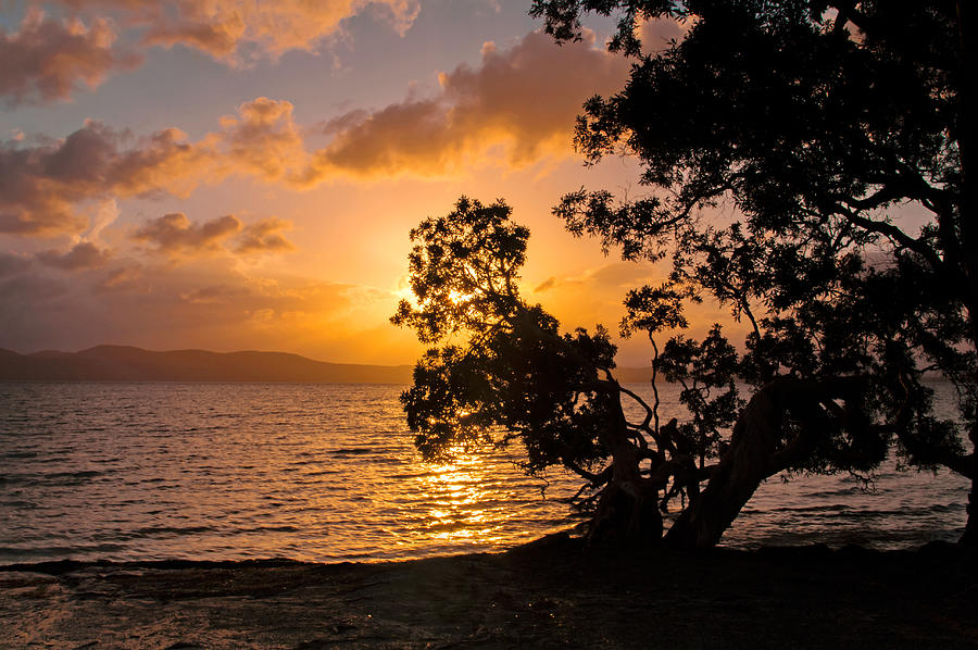 Lake Sunset Photograph by Nicholas Blackwell