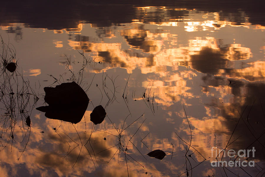 Lake Sunset Reflections Photograph by James BO Insogna