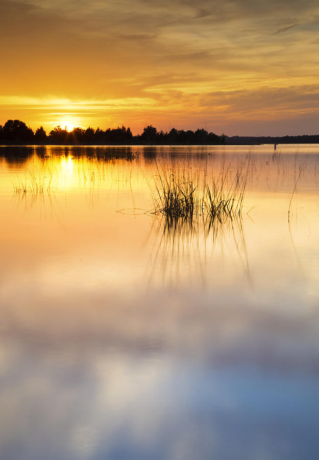 Lake Sunset 41 Photograph by Ricky Barnard