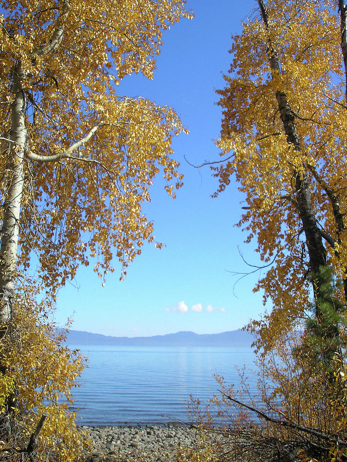Lake Tahoe Autumn Photograph by Connie Handscomb