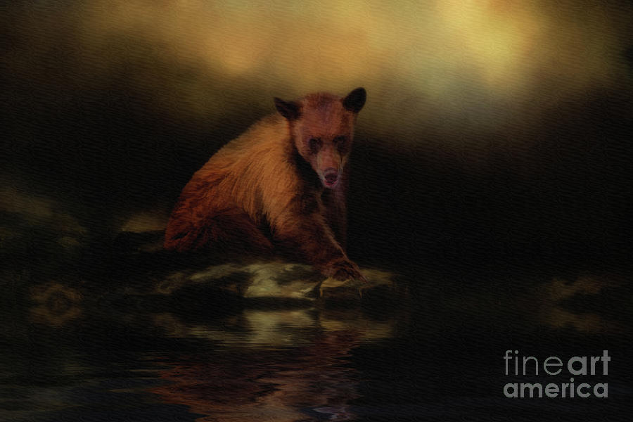 Lake Tahoe Bear Digital Painting Photograph by Priscilla Burgers