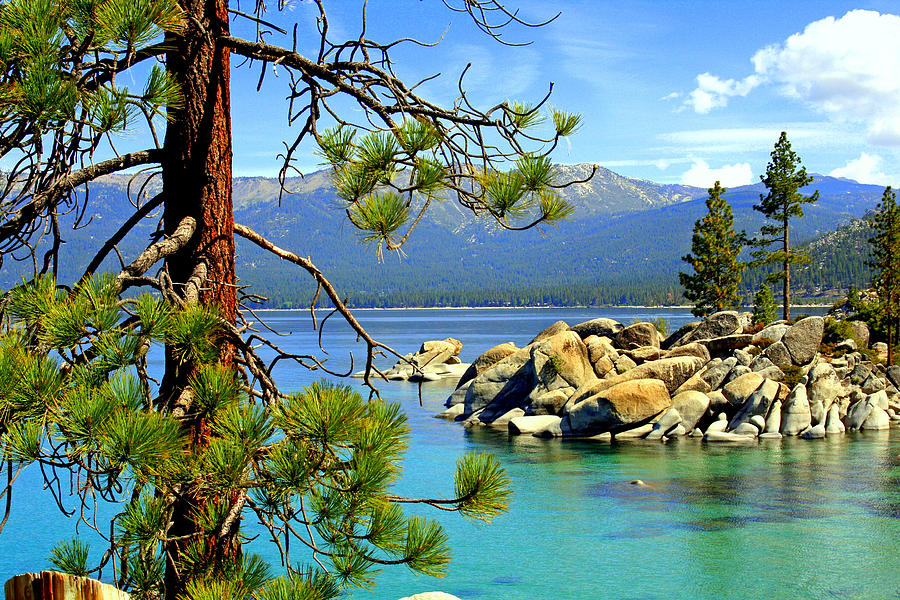 Landscape Photograph - Lake Tahoe Colors by Lynn Bawden