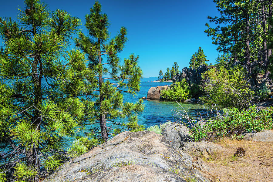 Lake Tahoe In Summer I Photograph by Steven Ainsworth