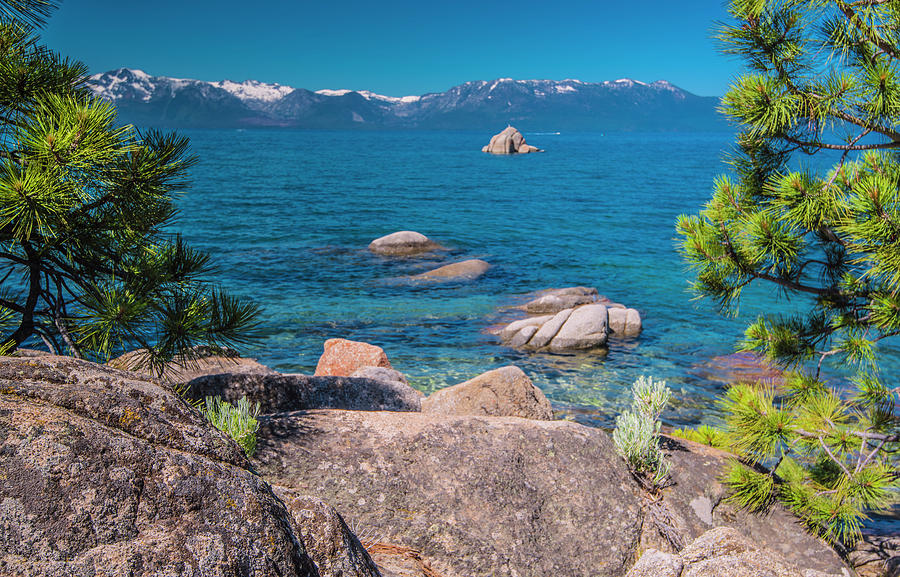Lake Tahoe in Summer II Photograph by Steven Ainsworth