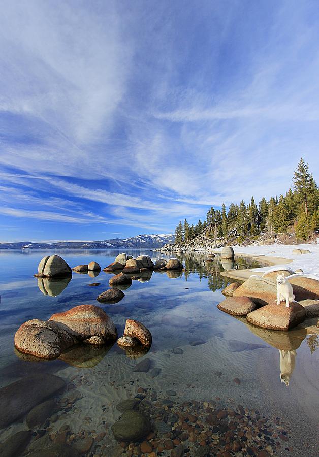 Lake Tahoe Reflections Photograph by Sean Sarsfield