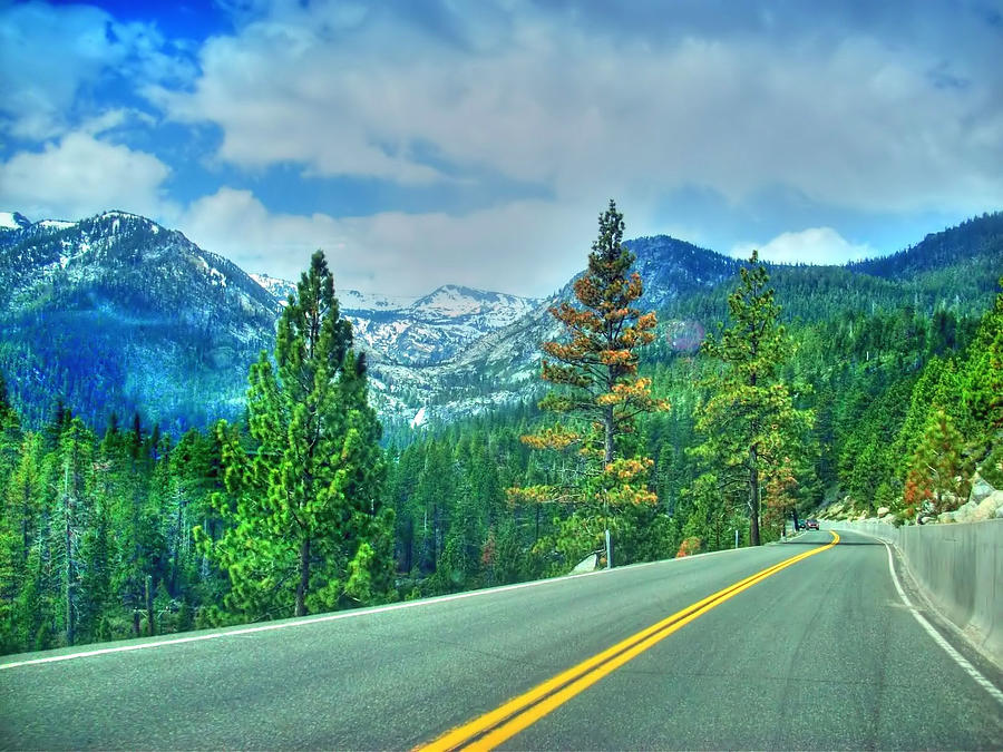 Lake Tahoe Scenic Road Photograph by Randy Wehner