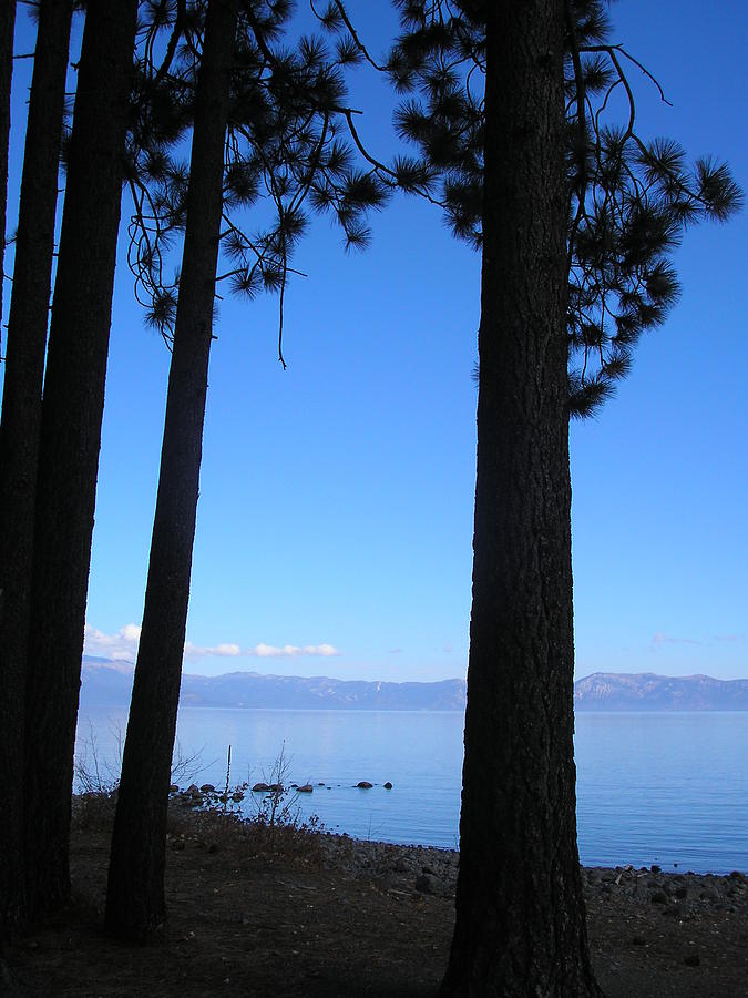 Lake Tahoe Silhouettes  Photograph by Connie Handscomb