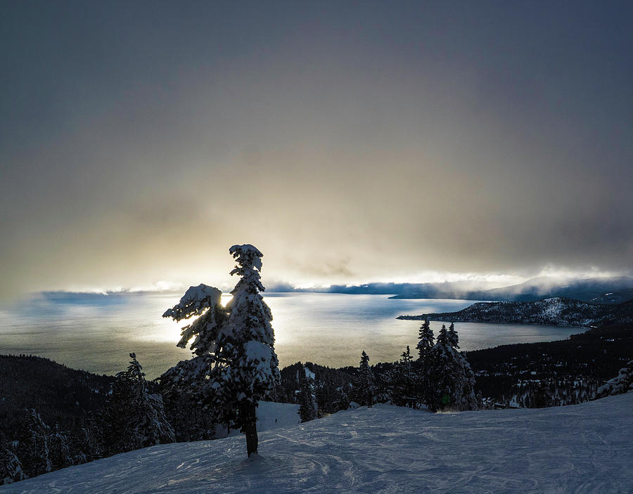 Lake Tahoe Skier Photograph by Martin Gollery