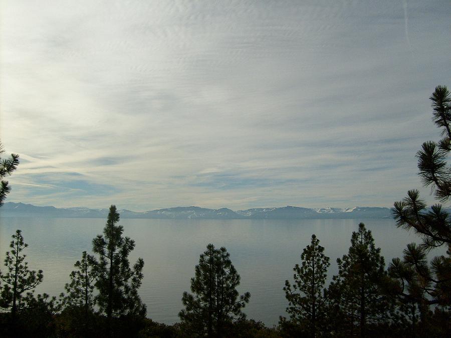 Tree Photograph - Lake Tahoe Sky by Sarah Anderson