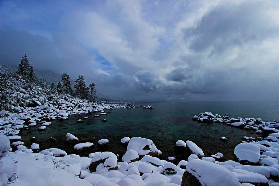 Lake Tahoe Snow Day  Photograph by Sean Sarsfield