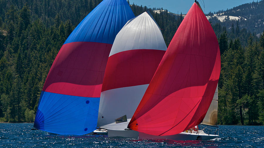 Tahoe Spinnakers Photograph by Steven Lapkin